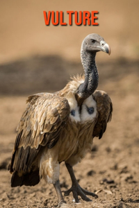 Vulture