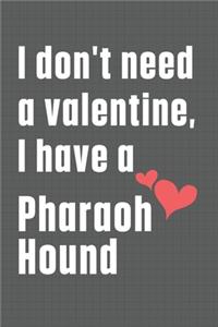 I don't need a valentine, I have a Pharaoh Hound