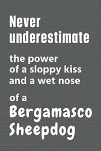 Never underestimate the power of a sloppy kiss and a wet nose of a Bergamasco Sheepdog