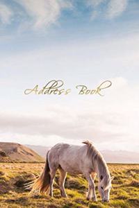 Address Book