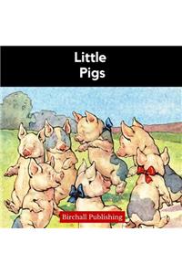 Little Pigs