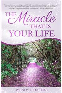 Miracle That Is Your Life
