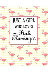 Just A Girl Who Loves Pink Flamingos