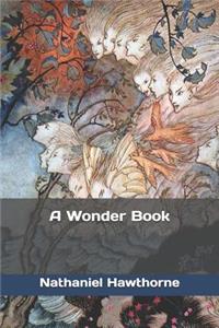 A Wonder Book