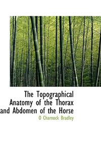 Topographical Anatomy of the Thorax and Abdomen of the Horse