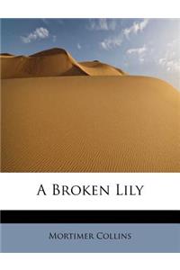 A Broken Lily