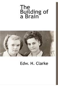 The Building of a Brain