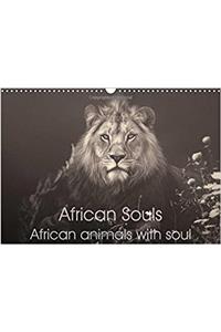 African Souls African Animals with Soul 2017