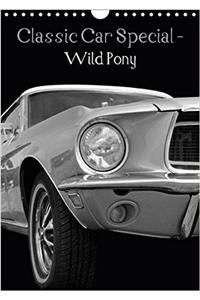 Classic Car Special - Wild Pony 2017