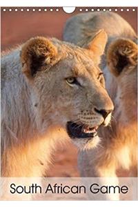 South African Game 2018