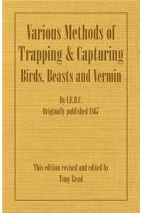 Various Methods of Trapping and Capturing Birds, Beasts and Vermin