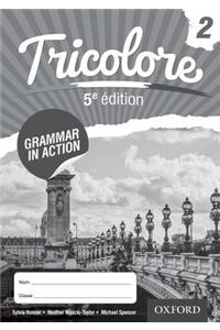 Tricolore Grammar in Action 2 (8 pack)