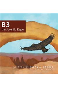 B3 the Juvenile Eagle