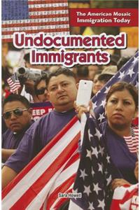 Undocumented Immigrants