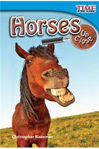 Horses Up Close