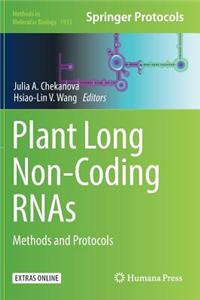 Plant Long Non-Coding Rnas