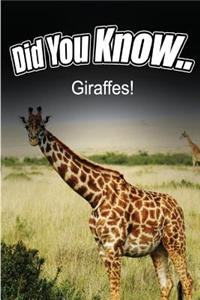 Giraffes