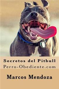 Secretos del Pitbull