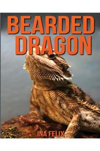 Bearded Dragon