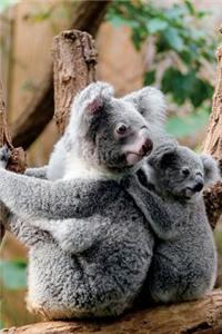 Koala Bear Mother and Baby Journal