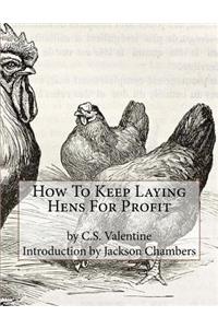 How To Keep Laying Hens For Profit