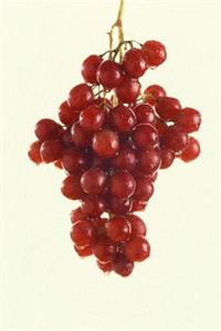 Food Journal Red Grapes Fresh Grapevine Weight Loss Diet Blank Recipe Book