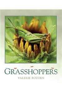 Grasshoppers