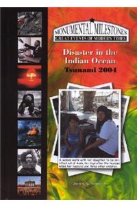 Disaster in the Indian Ocean, Tsunami 2004