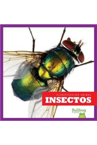 Insectos (Insects)
