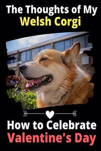 Thoughts of My Welsh Corgi