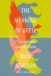 Meaning of Geese