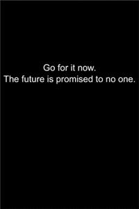 Go for it now. The future is promised to no one.