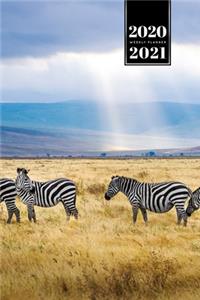 Zabra Safari Africa Savannah Week Planner Weekly Organizer Calendar 2020 / 2021 - Sunbeams