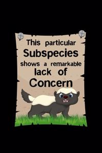 This Particular Subspecies Shows A Remarkable Lack of Concern