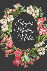 Stupid Meeting Notes