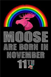 Moose Are Born In November 11th