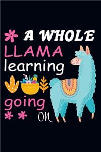 A whole llama learning going on