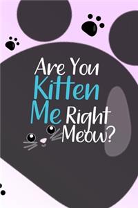 Are You Kitten Me Right Meow?
