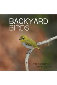 Backyard Birds Calendar 2020