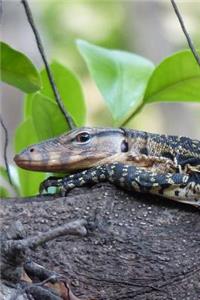 Say Hello to the Water Monitor Lizard Journal