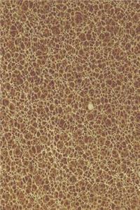 2019 Weekly Planner Unique Abstract Design Marbleized 134 Pages