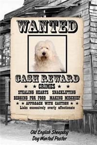 Old English Sheepdog Dog Wanted Poster