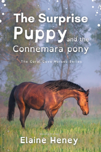 Surprise Puppy and the Connemara Pony - Dyslexia Friendly