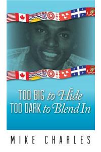 Too Big to Hide Too Dark to Blend in