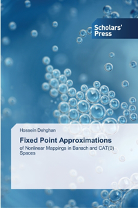 Fixed Point Approximations