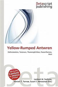 Yellow-Rumped Antwren