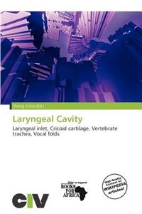 Laryngeal Cavity