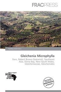 Gleichenia Microphylla