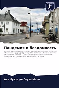 Пандемия и бездомность