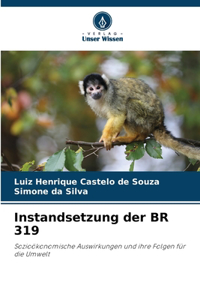 Instandsetzung der BR 319